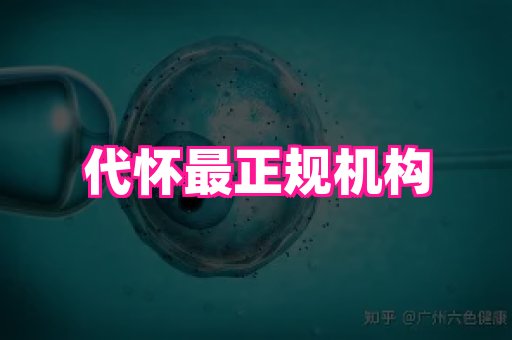 nub孕网 2