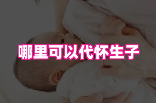 nub孕网 4